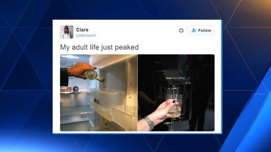 English woman's refrigerator hack a hit with wine lovers around the world