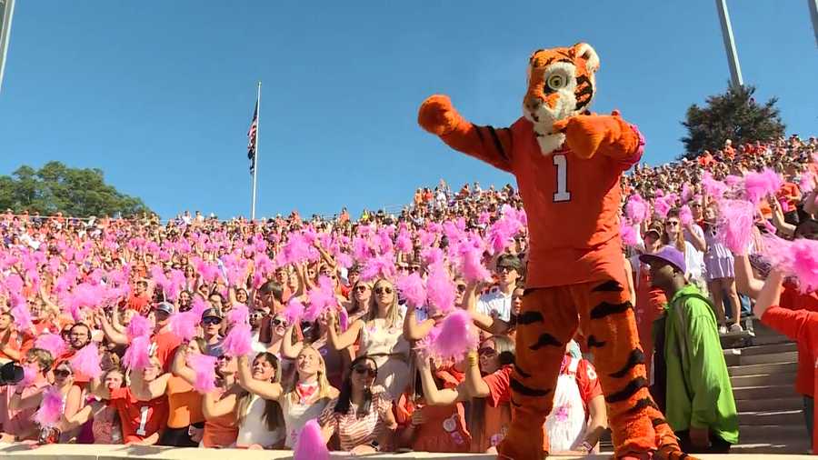 Tigers players and coaches join fans in breast cancer recognition