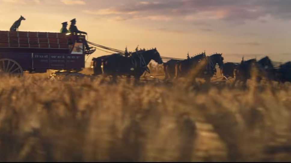 Clydesdale horses return in Budweiser's Super Bowl commercial