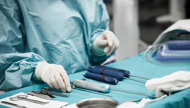 Gene-edited pig kidney keeps monkey alive for 2 years - Vimarsana News