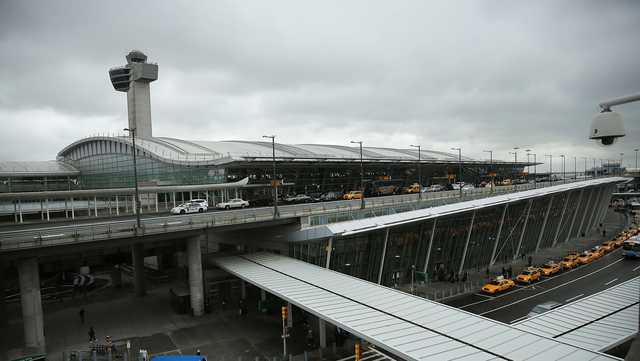 Plane turns back to JFK Airport after horse escapes on board - Vimarsana News