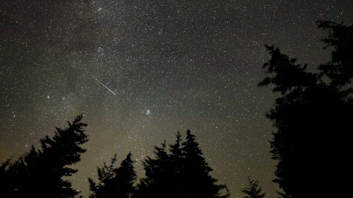 Meteors to streak across sky in year’s most anticipated celestial displays