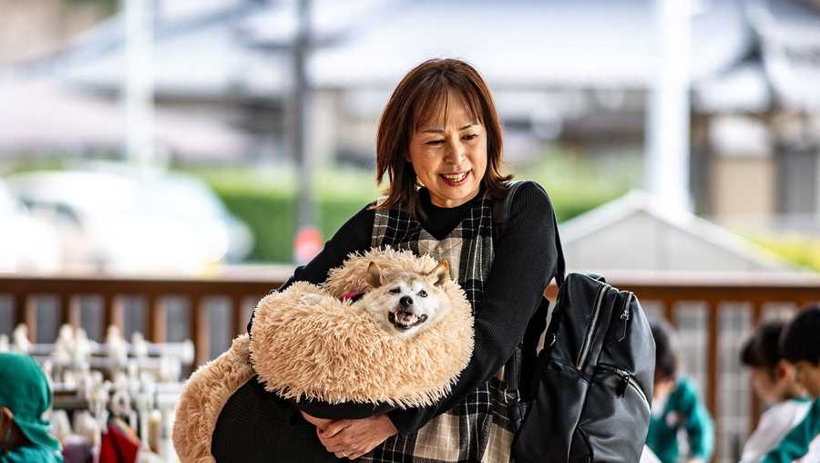 the dog who inspired dogecoin has died