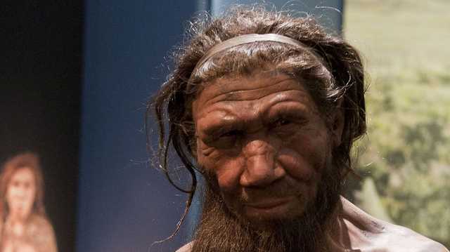 Early risers may have inherited a faster body clock from Neanderthals - Vimarsana News
