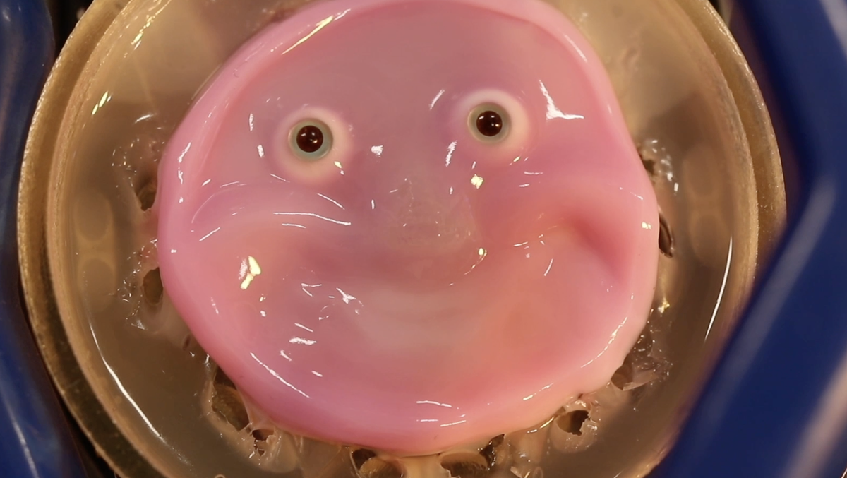 this-smiling-robot-has-a-face-covered-in-living-skin