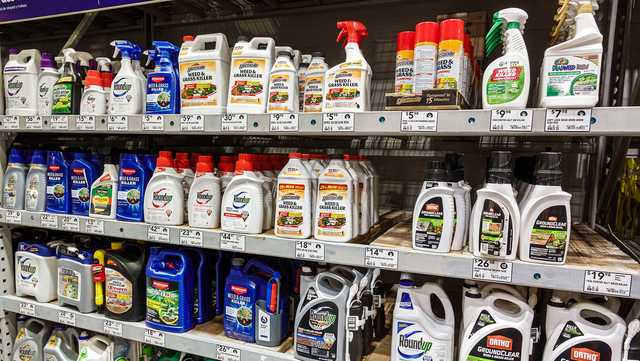 Bayer ordered to pay $2.25 billion after jury concludes Roundup weed killer caused man's cancer - Vimarsana News