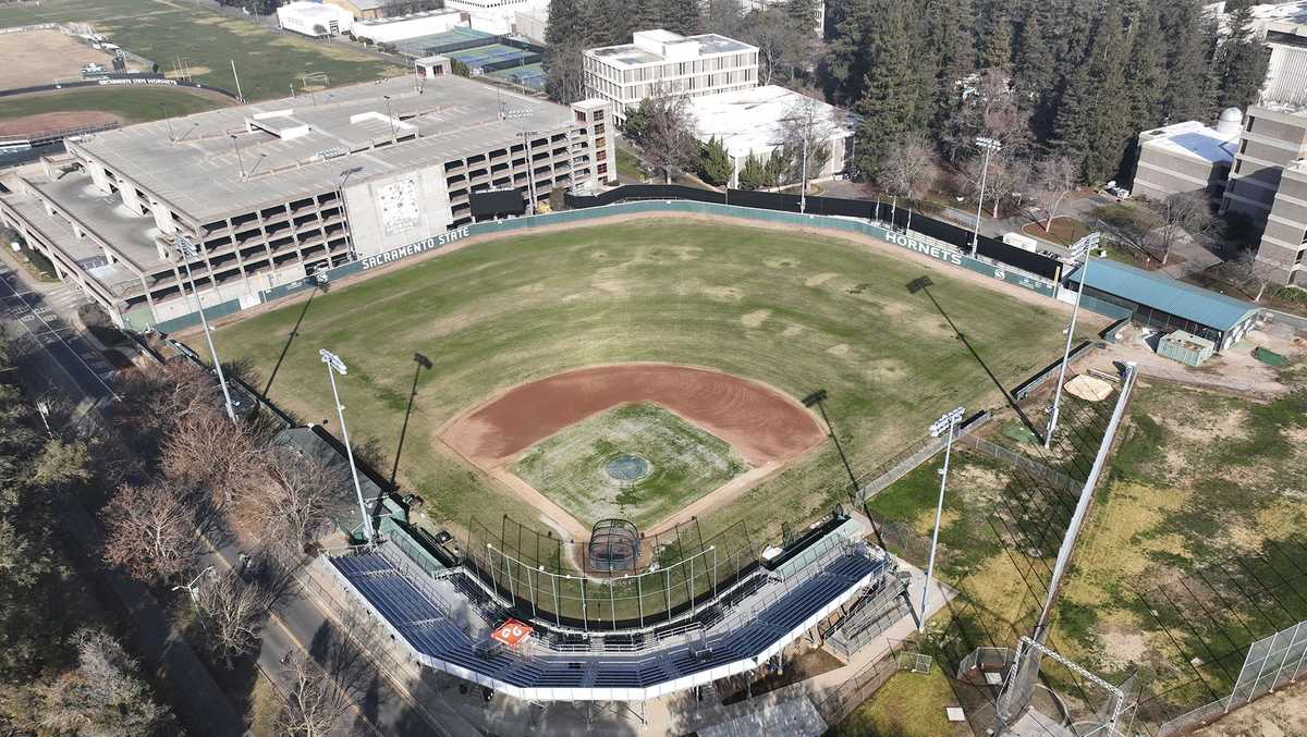 College baseball player hit by pitch 8 times in 9 plate appearances