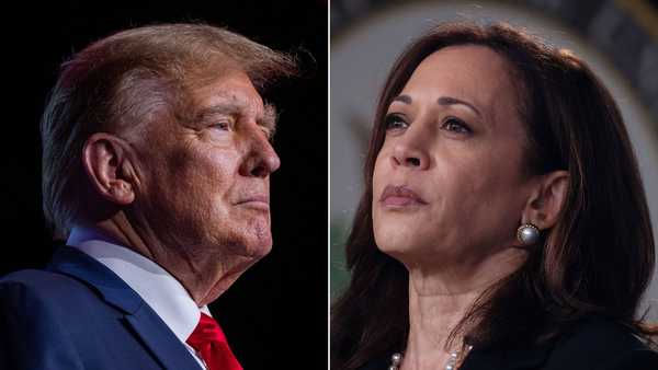 trump harris split