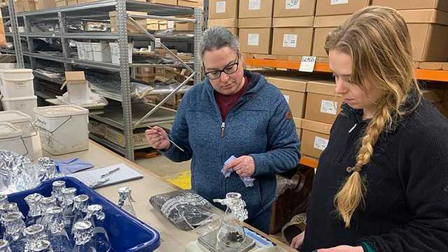 Archaeologists find microplastics in ancient remains - Vimarsana News