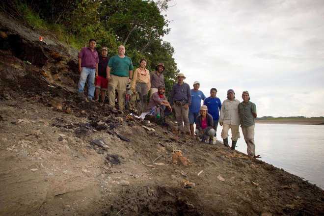 Rare fossil of a long-nosed giant surprises (and delights) scientists An international team of researchers discovered the fossil during a 2018 expedition to the Napo river in Peru.