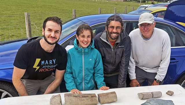 11-year-old's beach find was likely largest known marine reptile to swim the oceans - Vimarsana News
