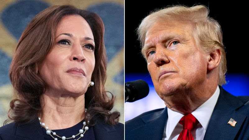 Kamala Harris Accepts Debate Challenge from Trump