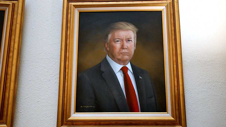 sara brown evening dress painting Trump portrait controversy threatens artist's career Lulus | Dresses | colour: green-velvet-and-sequin-racer-neck-midi-dress Made in the USA Fashion Size:XS