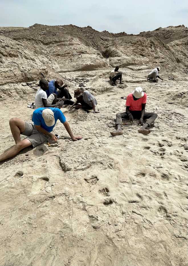 Members of the research team excavated the trackway surface in 2022.