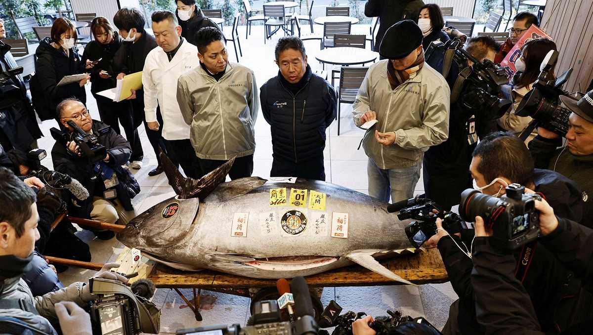 Massive tuna fetches more than $1 million at Japan auction