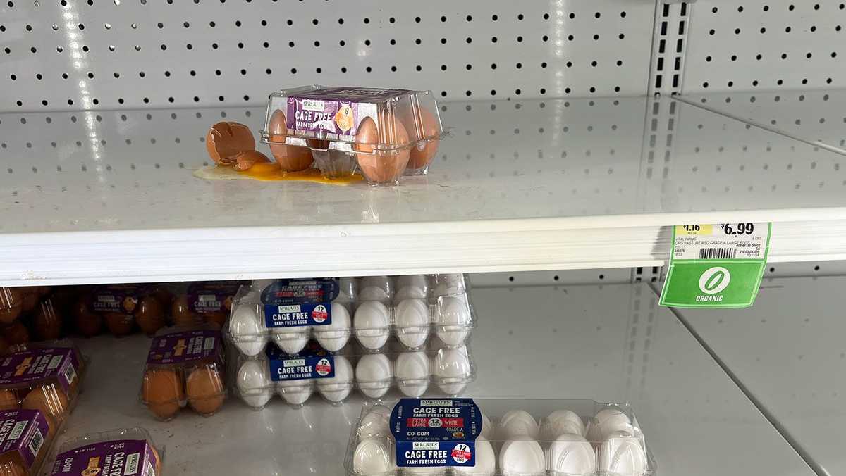 Expect record-high egg prices for most of the year