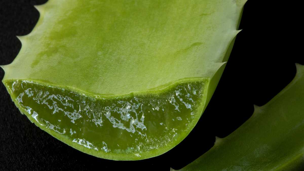 Investigation finds 'secretly' added chemicals of unknown safety in US food supply