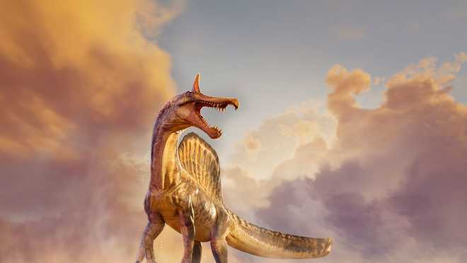 Spinosaurus mirabilis