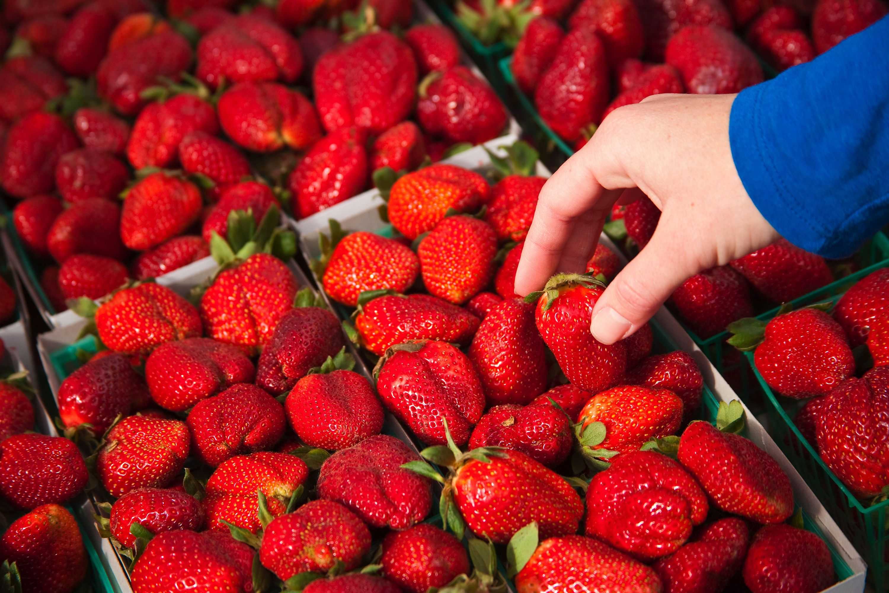 A surprising percentage of produce from the nation’s largest supplier contains ‘forever’ pesticides