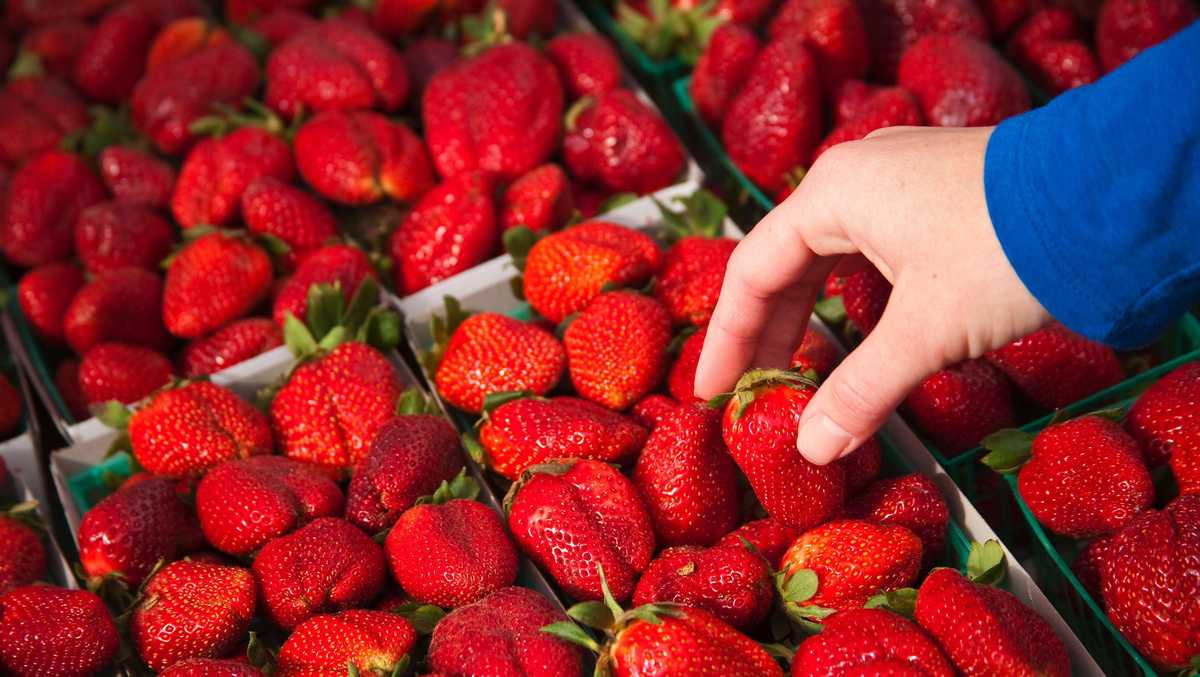 A surprising percentage of produce from the nation's largest supplier contains 'forever' pesticides