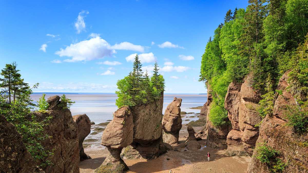 Millions of Americans are now eligible for Canadian citizenship and many are applying 'just in case'