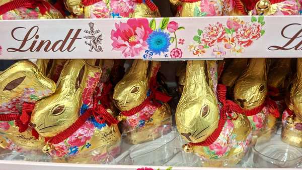 easter chocolate bunnies