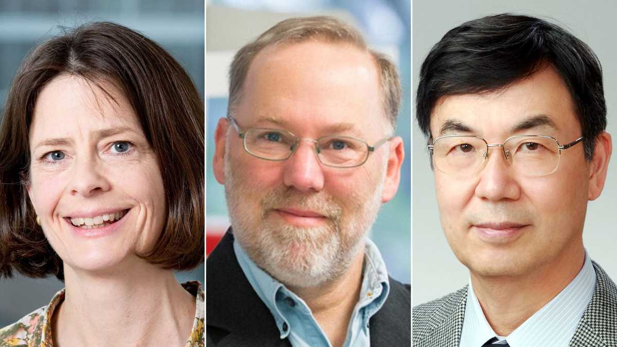 Nobel Prize in medicine goes to 3 scientists for discovering how immune system is kept in check