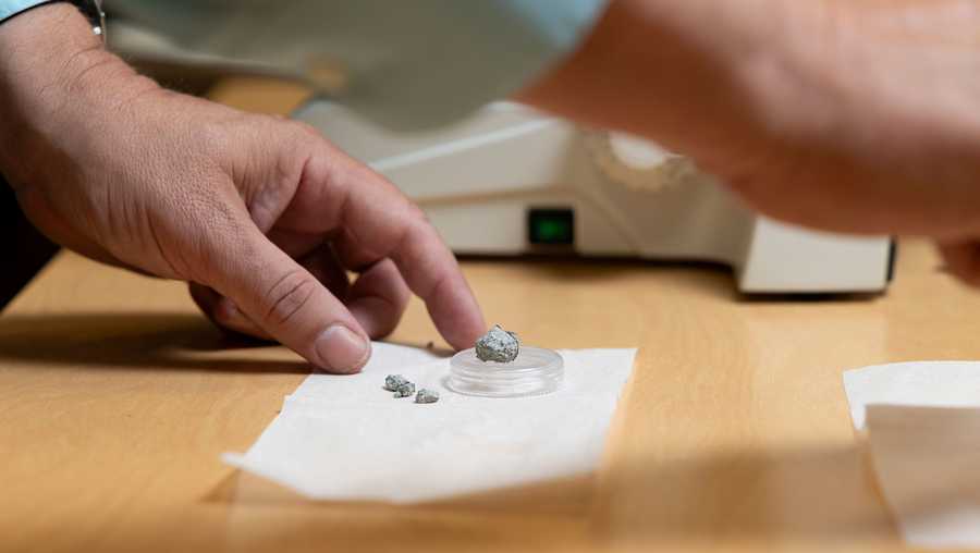 georgia meteorite