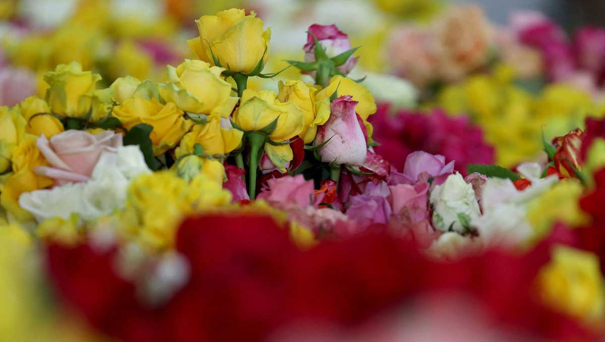 The long trip your flowers will make before you can say 'I love you' this Valentine's Day