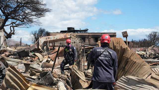 Maui wildfire death toll up to 111 - Vimarsana News
