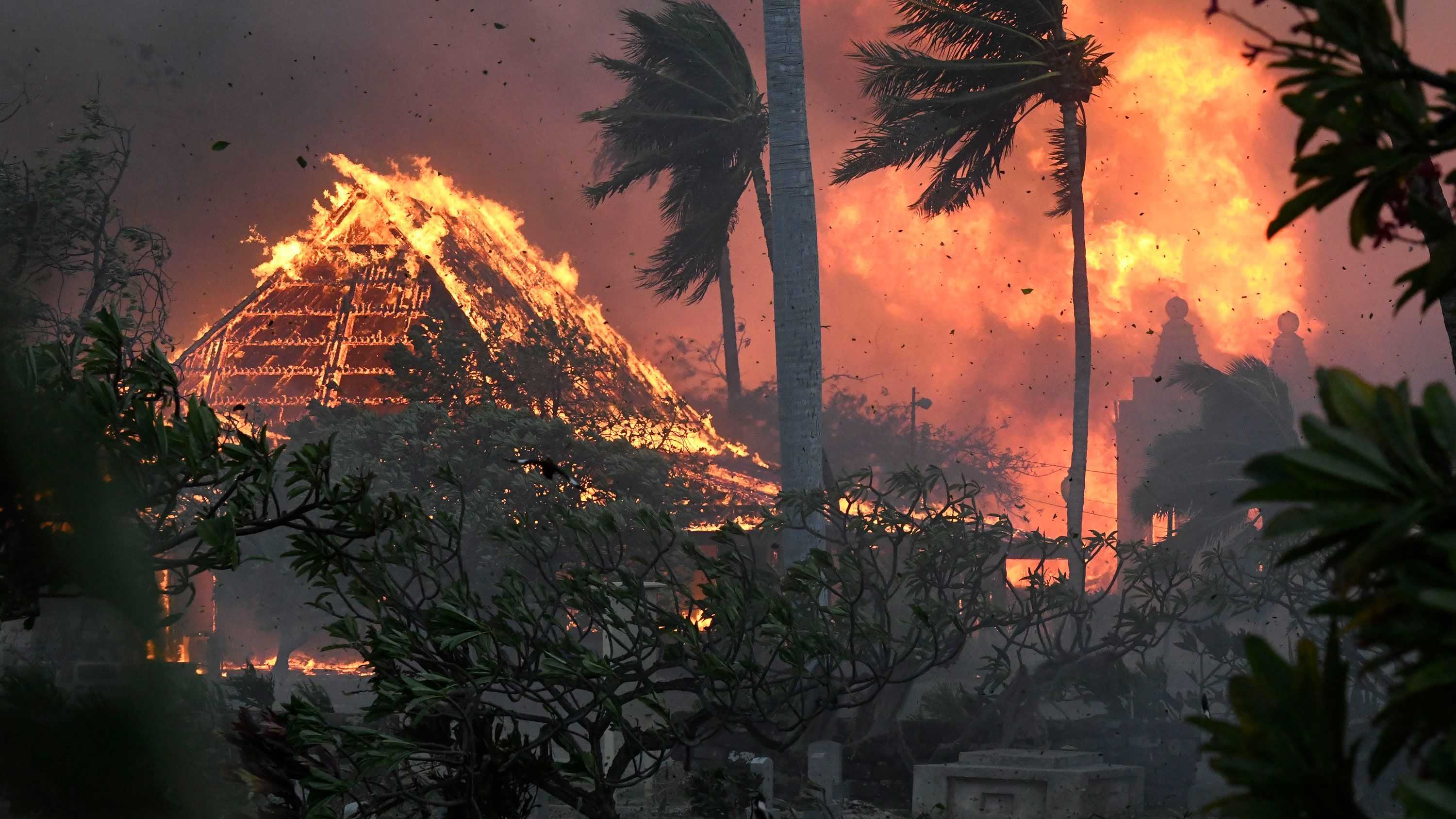 Beloved landmarks imperiled by Maui's wildfires - Vimarsana News