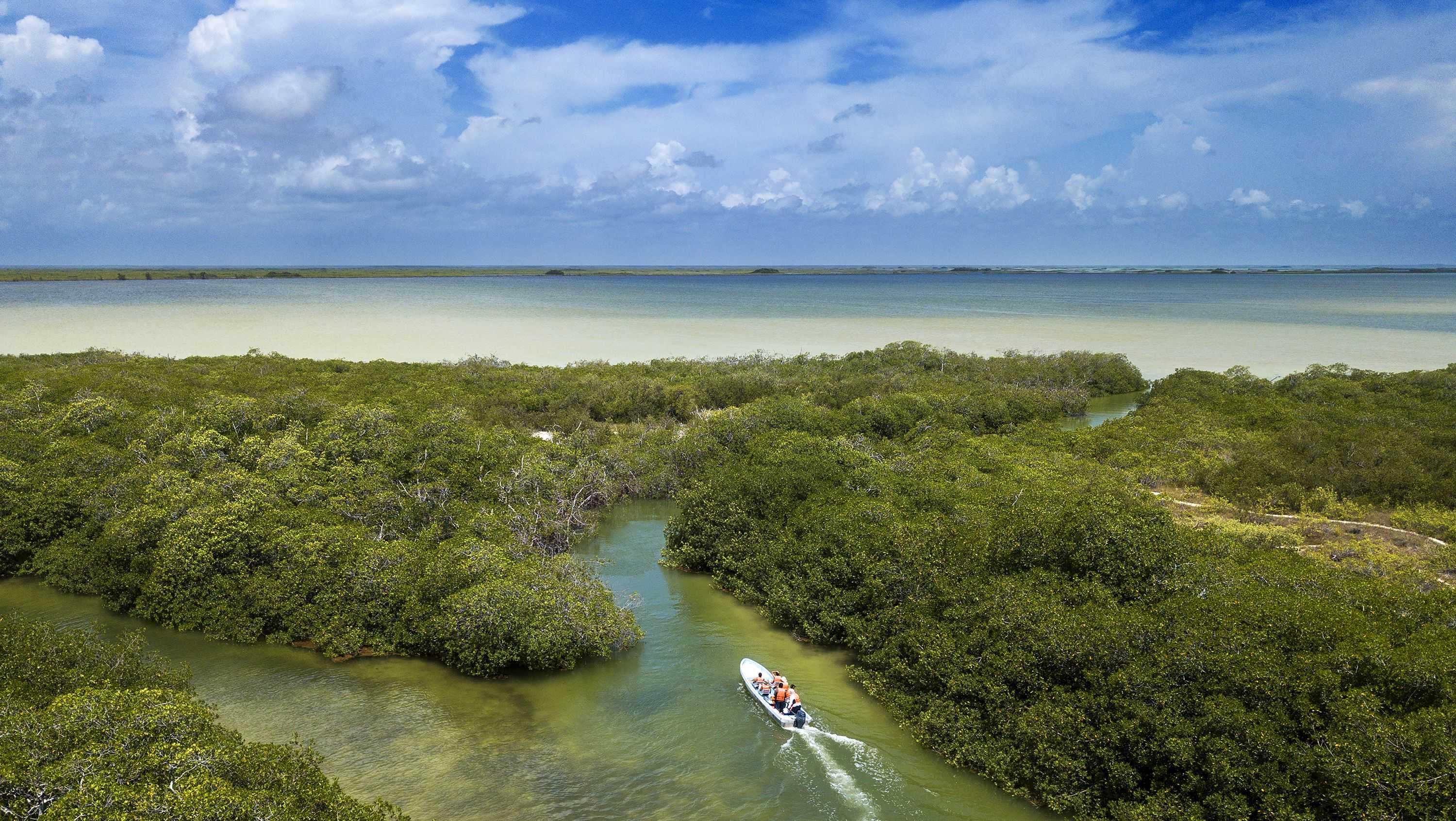 Climate change is making our oceans change color, new research finds - Vimarsana News