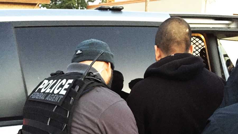 232 arrested during ICE immigration sweep in California