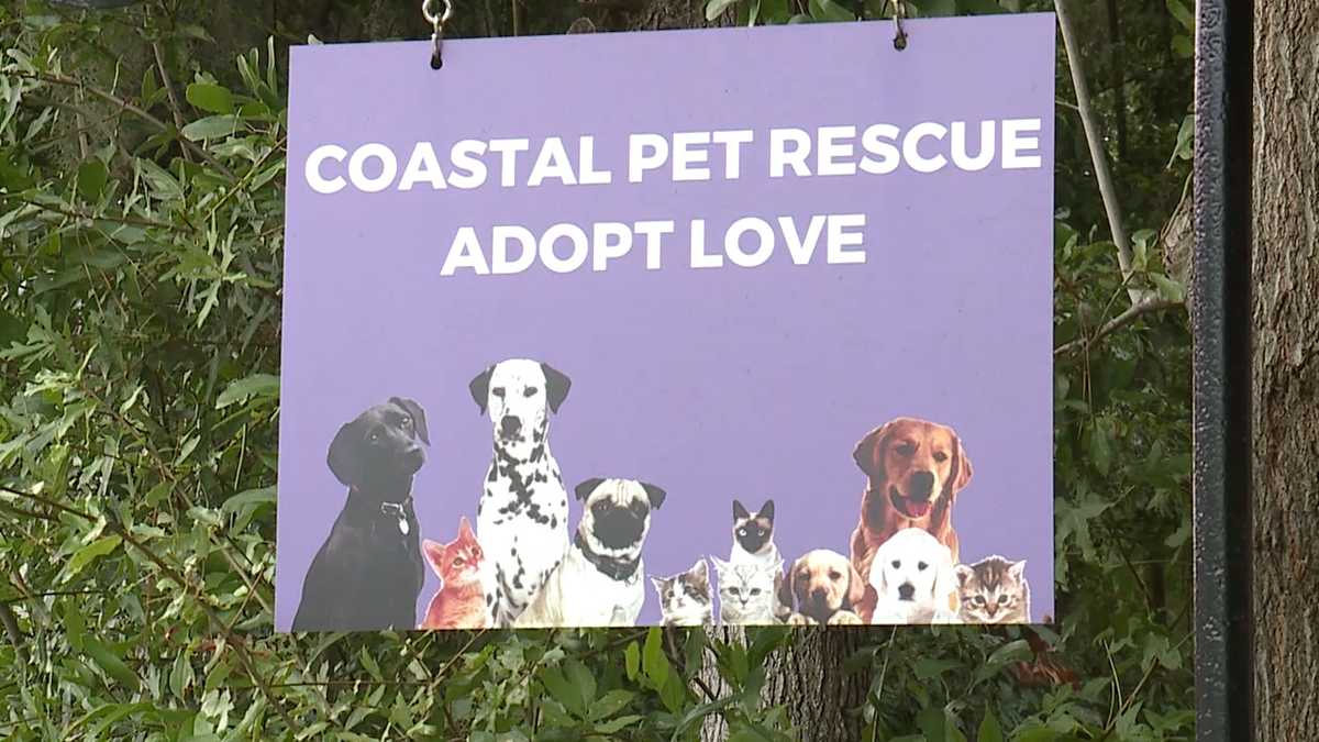 Coastal Pet Rescue beginning Sea Paws Field Trips