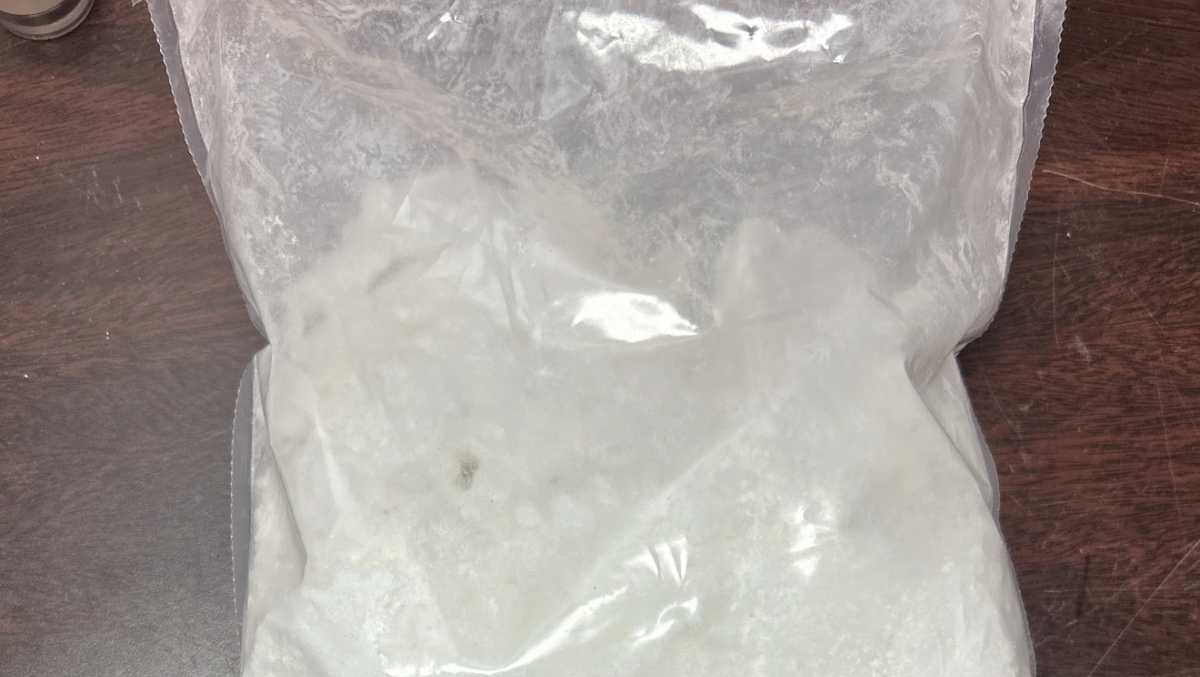 Cocaine intercepted during traffic stop along I-85, deputies say