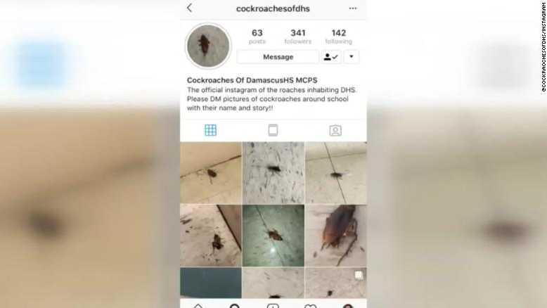 Students post pics of roaches found in the school, dead or alive, and even name them