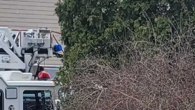 Beaver Falls ATV crash kills man - Vimarsana News