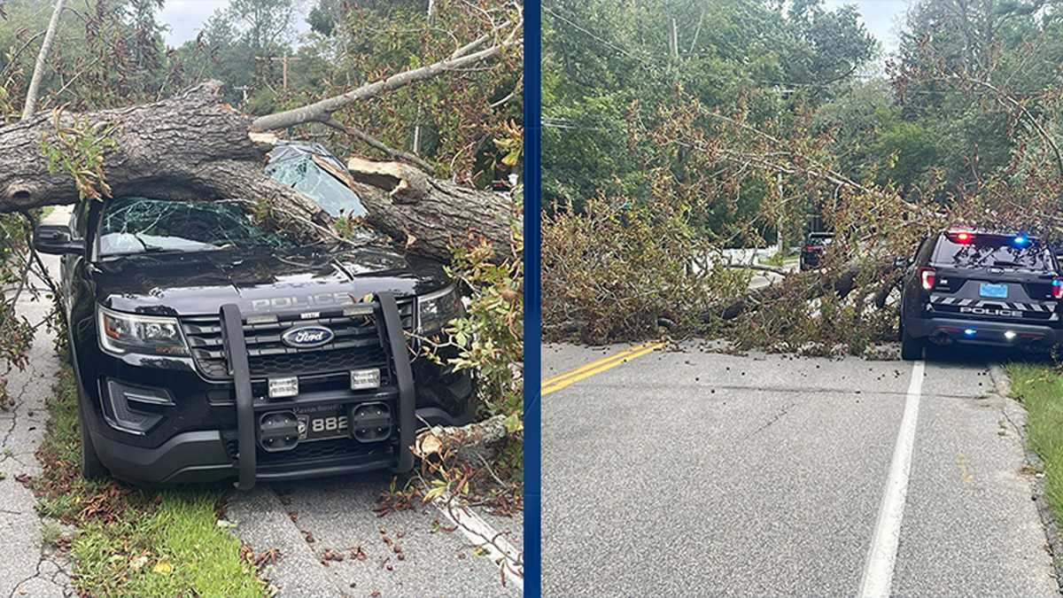 SUV crashes into three cars for sale on Cohasset lot