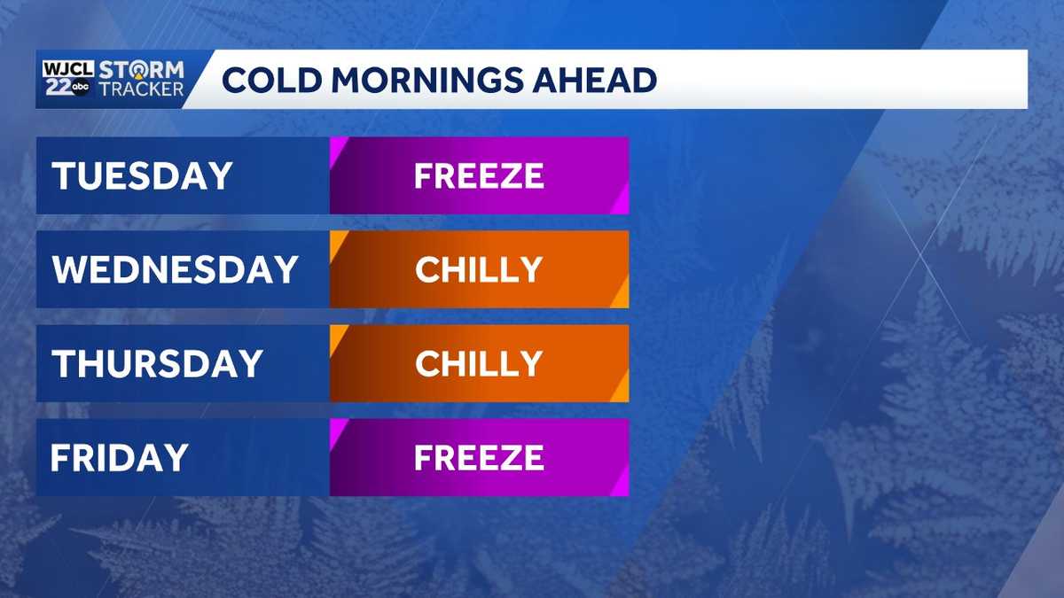 Winter makes a comeback with multiple freezes possible for Southeast Georgia, Lowcountry