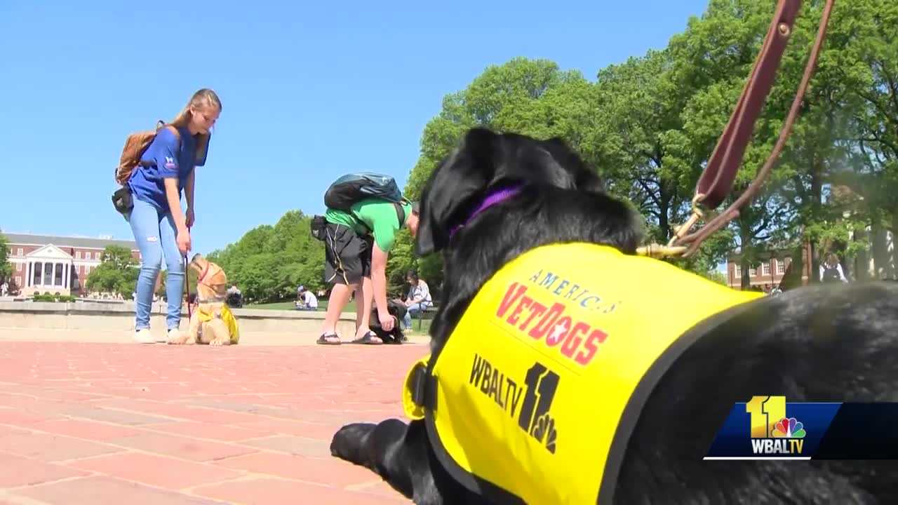 guide dog foundation umd