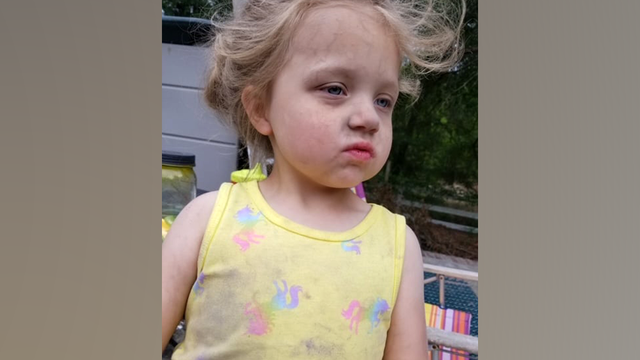 South Carolina: Missing 5-year-old autistic girl found dead - Vimarsana News