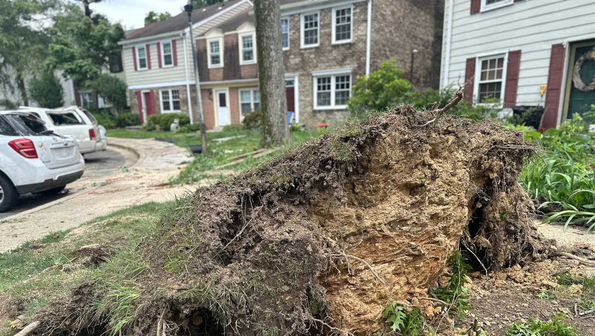 NWS confirms tornadoes in Maryland