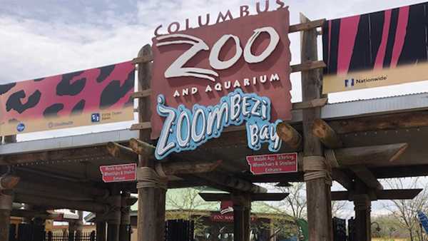 Columbus Zoo to lose accreditation, will appeal - Vimarsana News