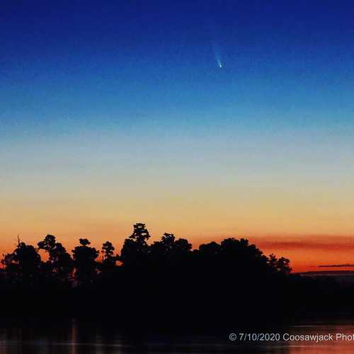 Comet NEOWISE visible during July - WJCL