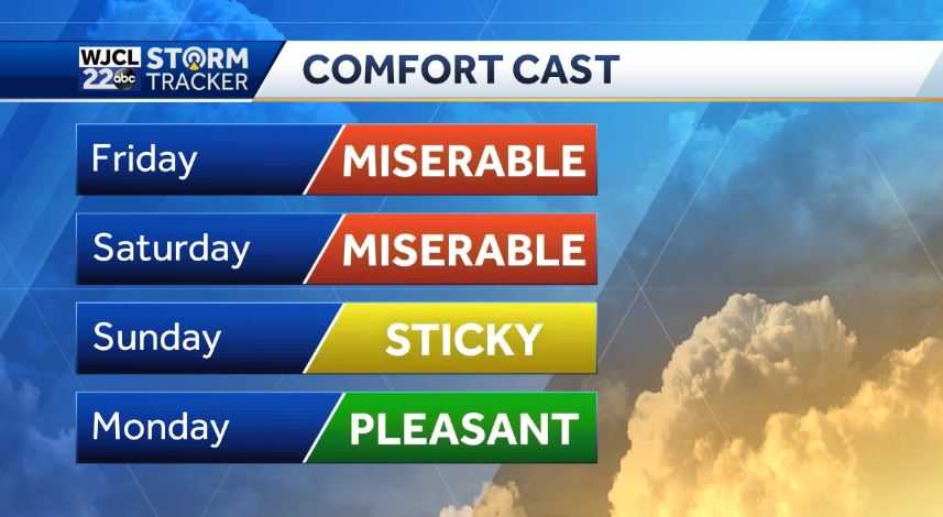 Staying steamy but not sunny, storms returning to the forecast - WJCL