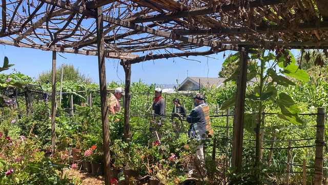 Watsonville church closes popular community garden over alleged safety concerns - Vimarsana News