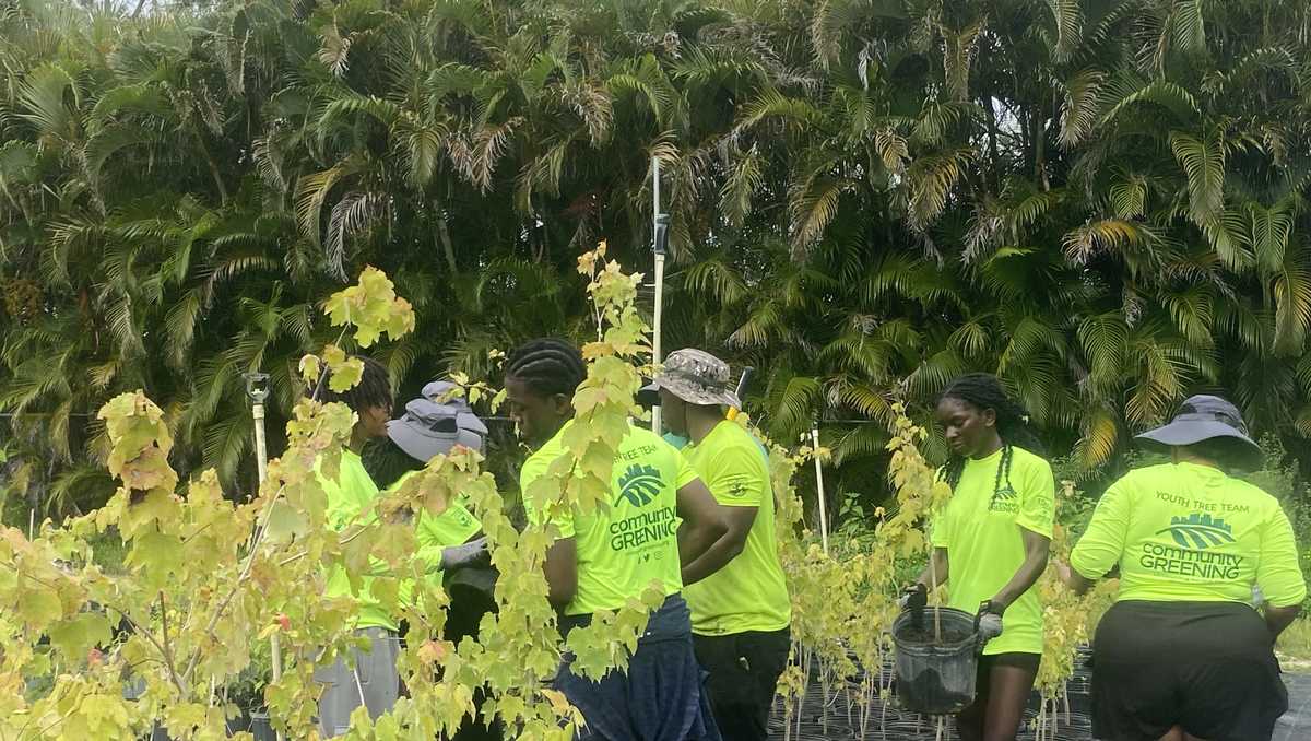 South Florida students are planting trees to help the environment