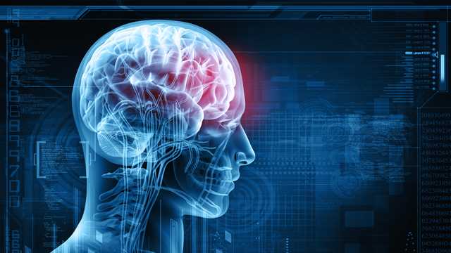 Study researches mental health risk factors linked to concussions - Vimarsana News