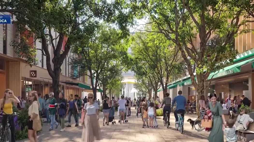 Controversial Boca Raton downtown project get approval by city council ...