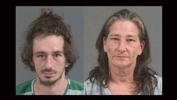 South Carolina woman, son posed as housekeepers, pet sitters then stole from clients, deputies say